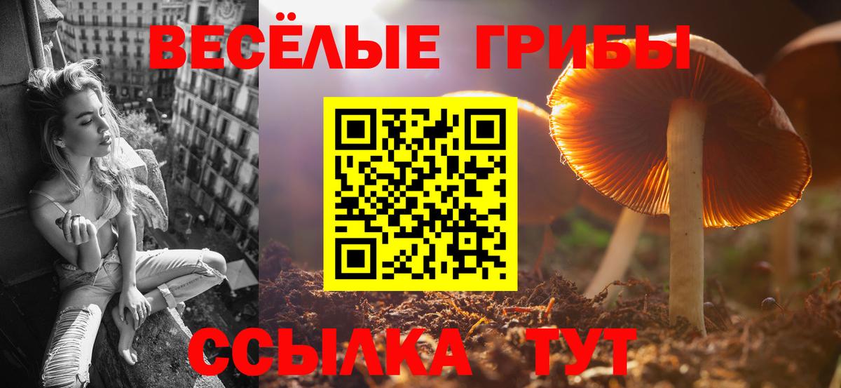 Псилоцибиновые грибы Magic Shrooms Зеленодольск